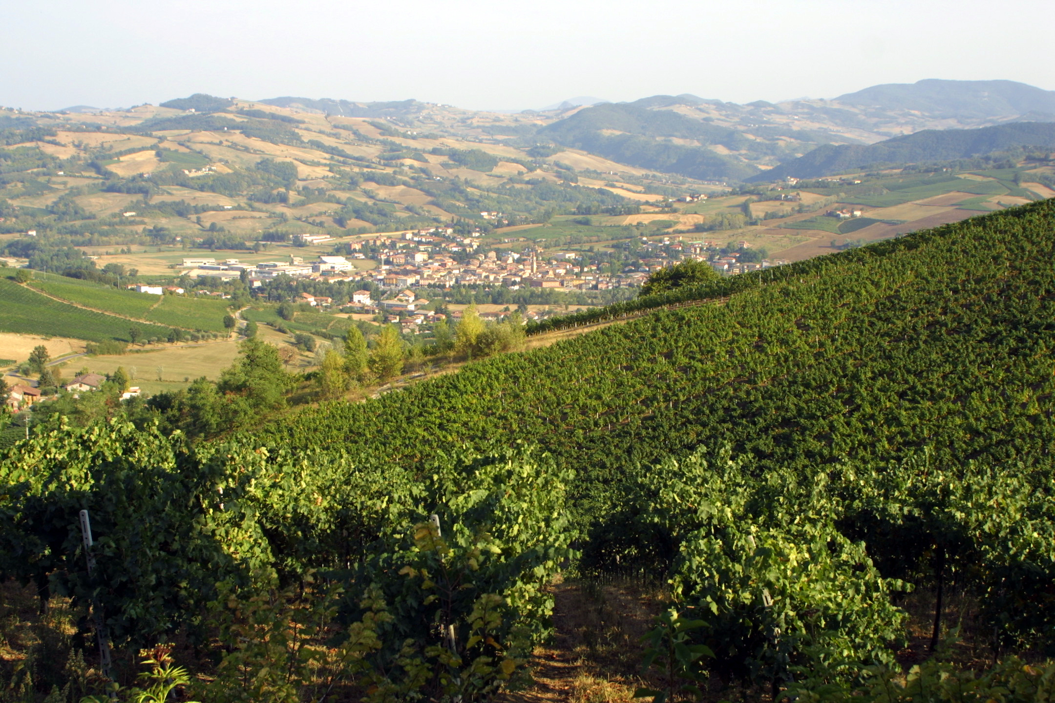 Panorama Pianello Val Tidone